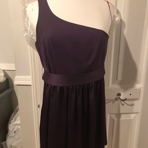 Plum size 14 dress, short